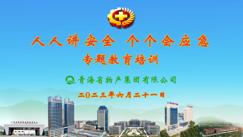 提高安全管理水平 落實(shí)全員安全責(zé)任&mdash;&mdash;集團(tuán)安委會(huì)舉辦2023年&ldquo;人人講安全，個(gè)個(gè)會(huì)應(yīng)急&rdquo;專題教育培訓(xùn)