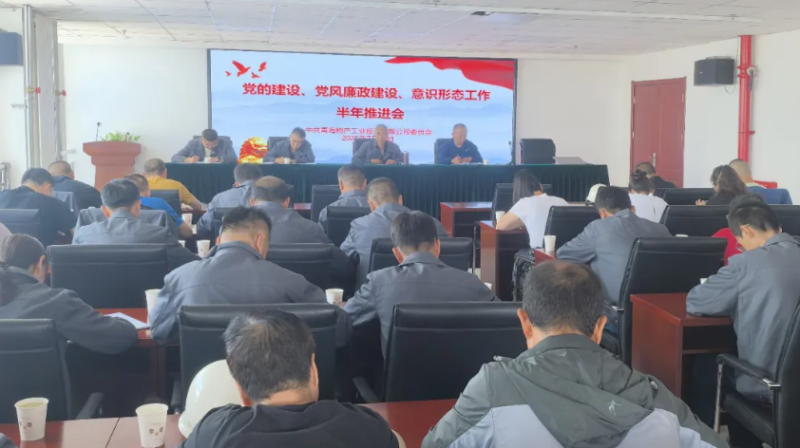 工投公司黨委召開黨的建設(shè)、黨風(fēng)廉政建設(shè)、意識形態(tài)工作半年推進(jìn)會