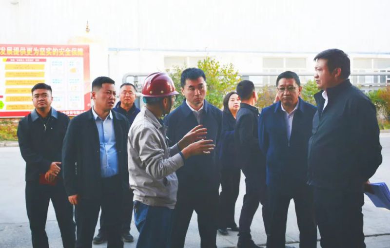 大通縣委副書記、縣長馬明旭一行蒞臨工投公司調(diào)研指導